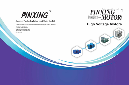 Shanghai Pinxing Pléascadh-Proof Motor Co., Ltd.